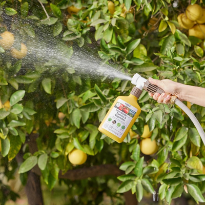 Arber Insecticide For Tomato & Vegetable 16oz Spray