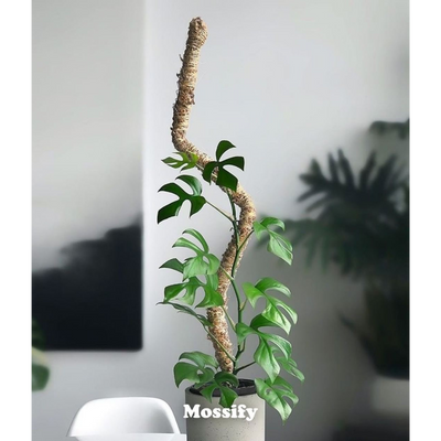 Mossify 16" Bendable Moss Pole