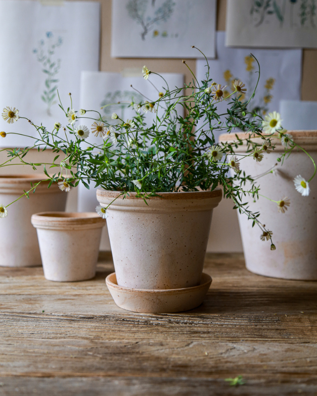 Bergs Flora Terracotta Pot, Rosa, 21cm (8.3")