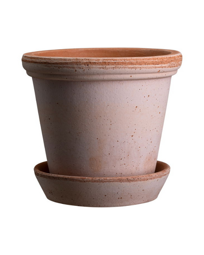 Bergs Flora Terracotta Pot, Rosa, 21cm (8.3")