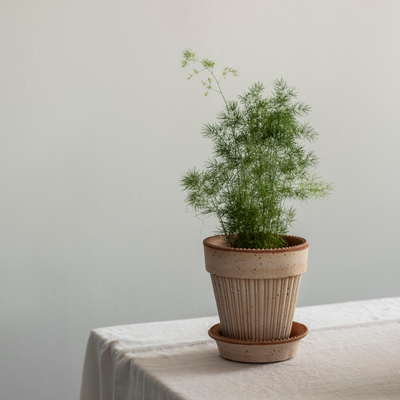 Bergs Simona Terracotta Pot, Rosa, 14cm (5.5")
