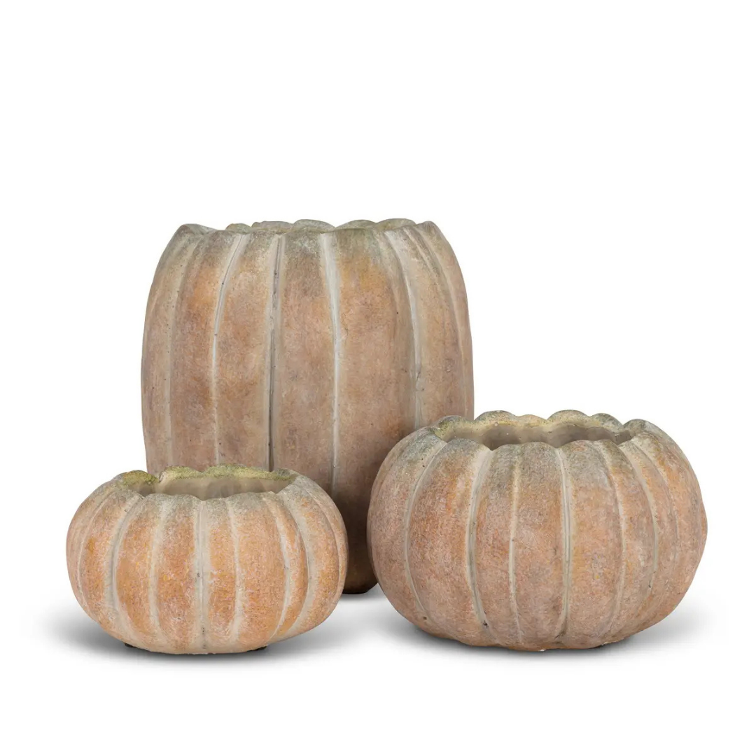 5.5" W Cement Pumpkin Planter