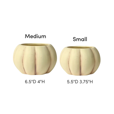 Matte Ceramic Pumpkin Planter - Ivory, Medium