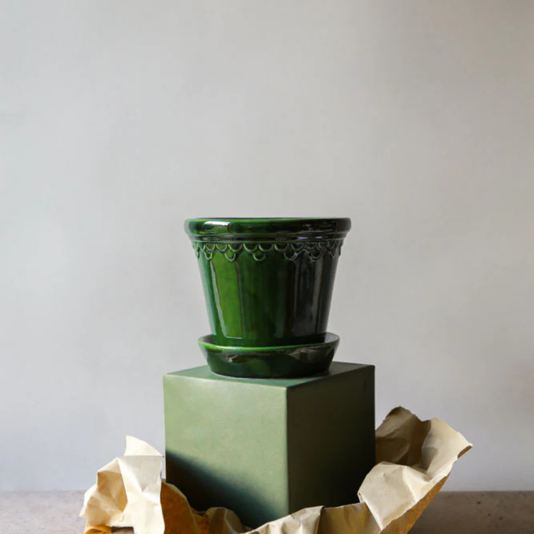 Bergs Københavner Glazed Pot, Green, 10cm (3.8")