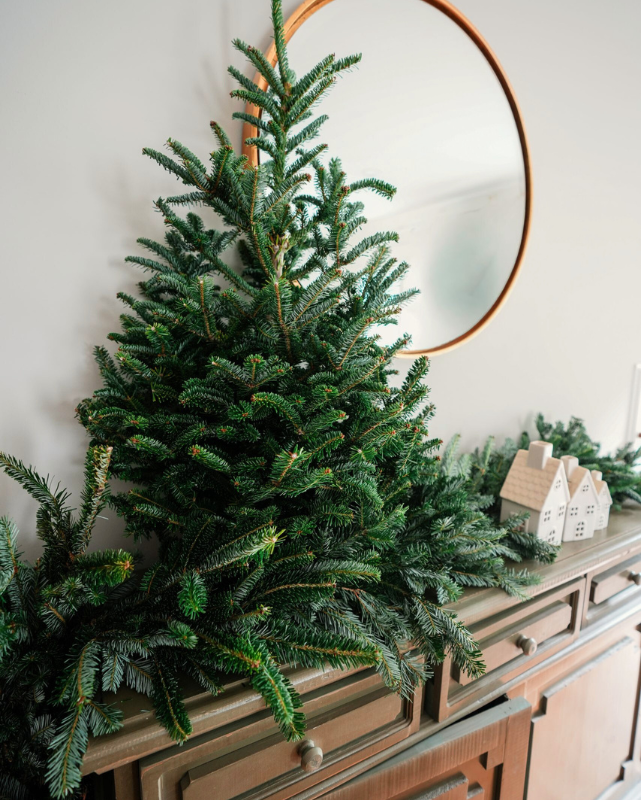 Tabletop Fraser Fir w/ Stand