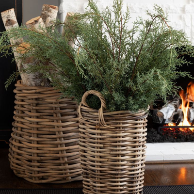 TMC Carolina Sapphire Bunch