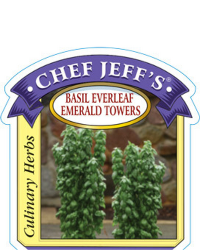 HERB - Basil - Emerald Towers
