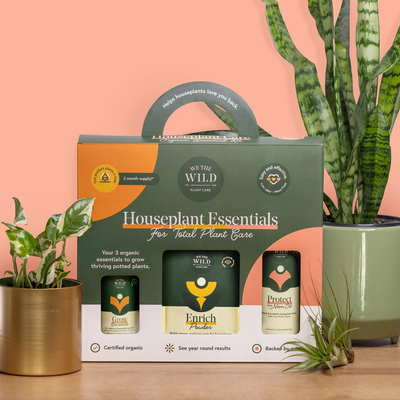 We the Wild Houseplant Care Tester Kit
