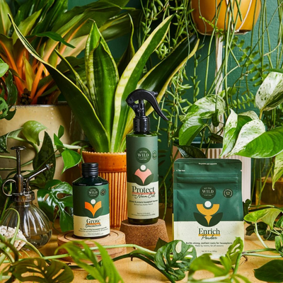 We the Wild Houseplant Care Tester Kit