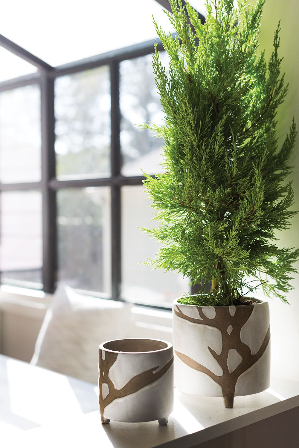 White Sprig Pot, 6"