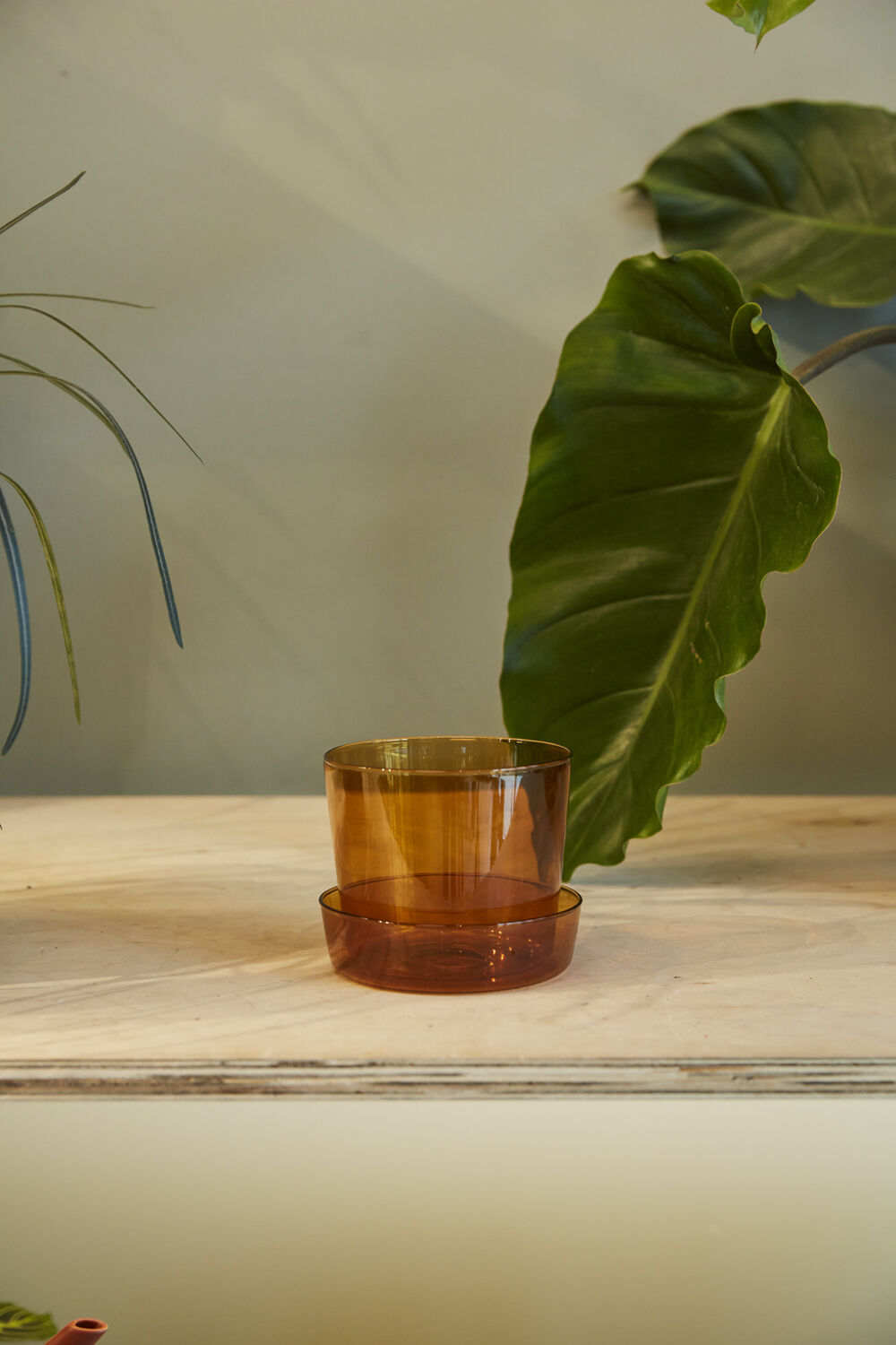 Amber Glass Pot w/ Saucer, 4"