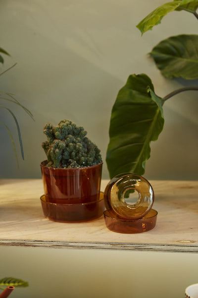 Amber Glass Pot w/ Saucer, 5"