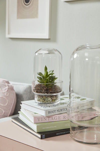 Glass Griffith Terrarium, Small
