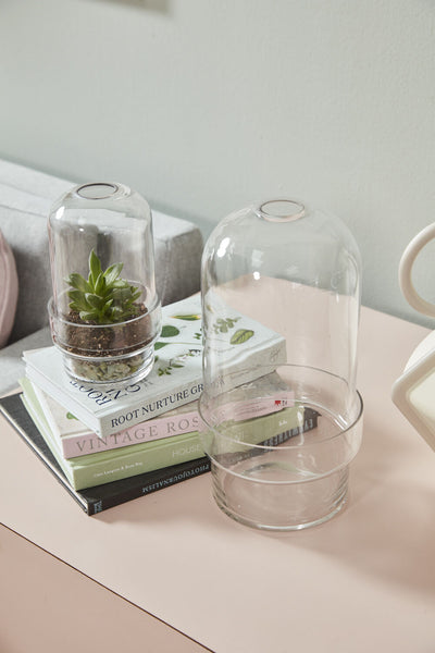 Glass Griffith Terrarium, Small