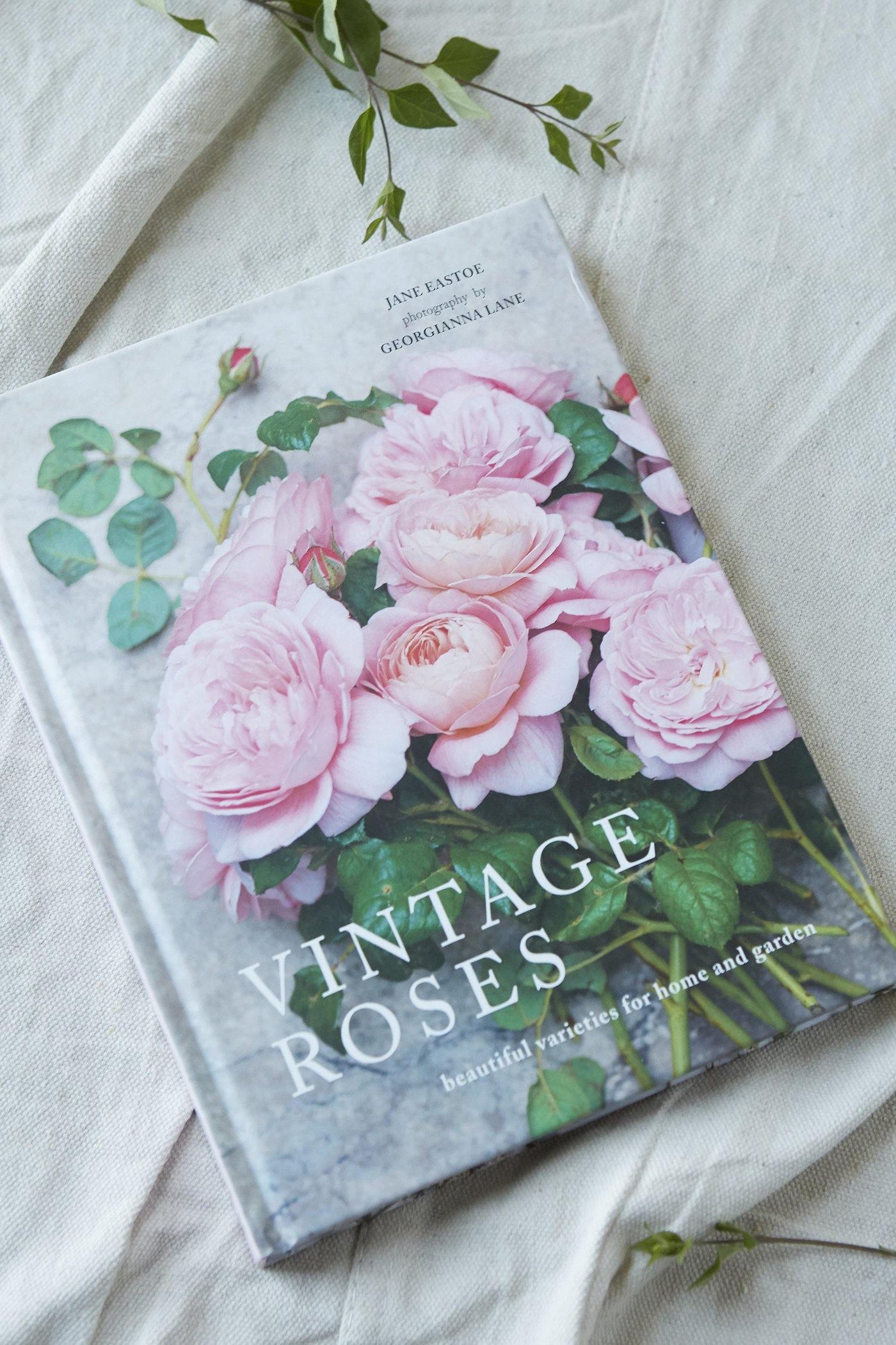 Vintage Roses: Beautiful Varieties For Home & Garden