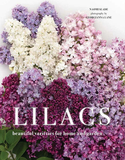 Lilacs: Beautiful Varieties For Home & Garden