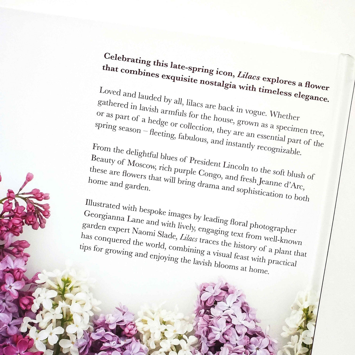 Lilacs: Beautiful Varieties For Home & Garden