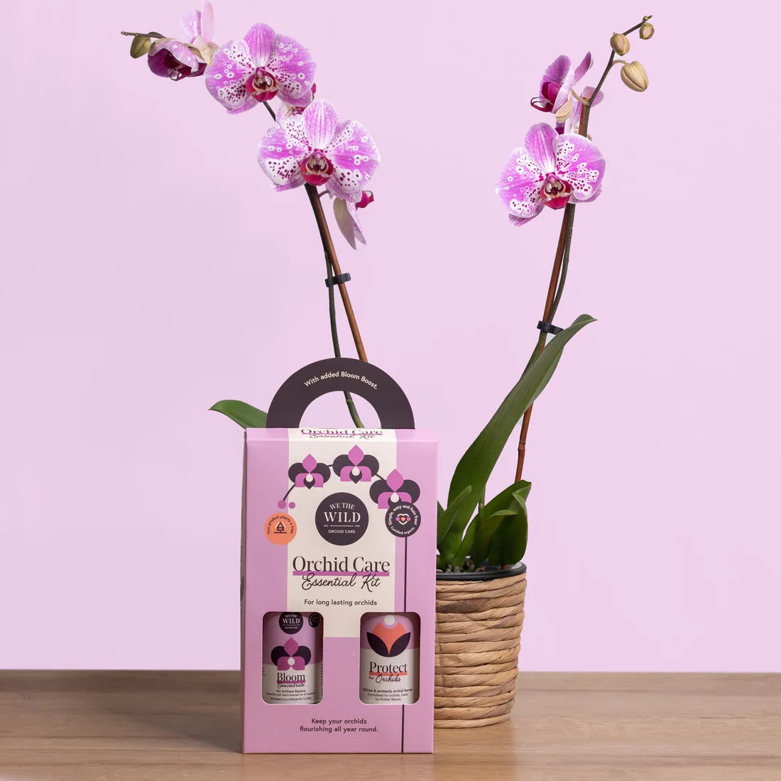 We the Wild Leaf Orchid Essential Bloom Kit