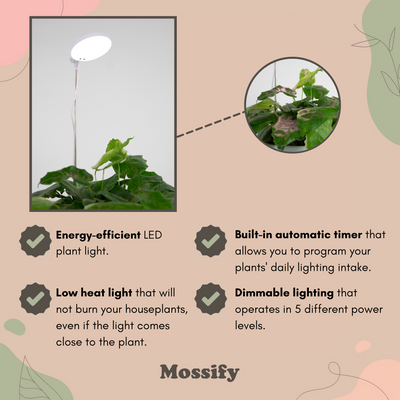 Mossify 28" Adjustable LED Plant Light, Black
