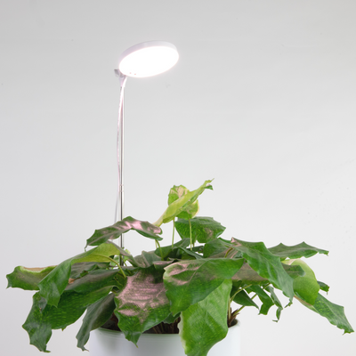 Mossify 28" Adjustable LED Plant Light, White