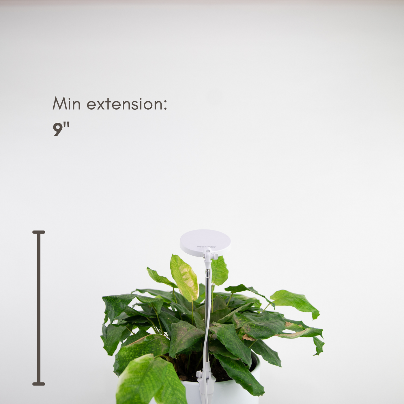 Mossify 28" Adjustable LED Plant Light, White
