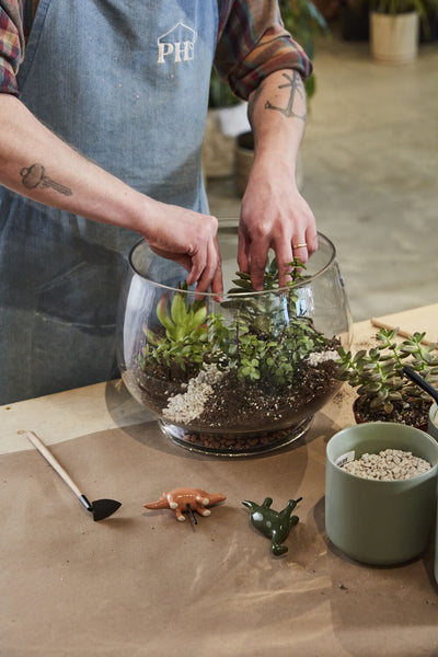 Discovery Terrarium, Medium
