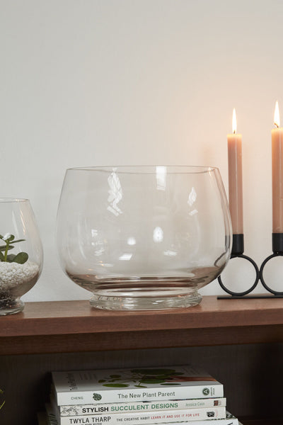 Discovery Terrarium, Medium