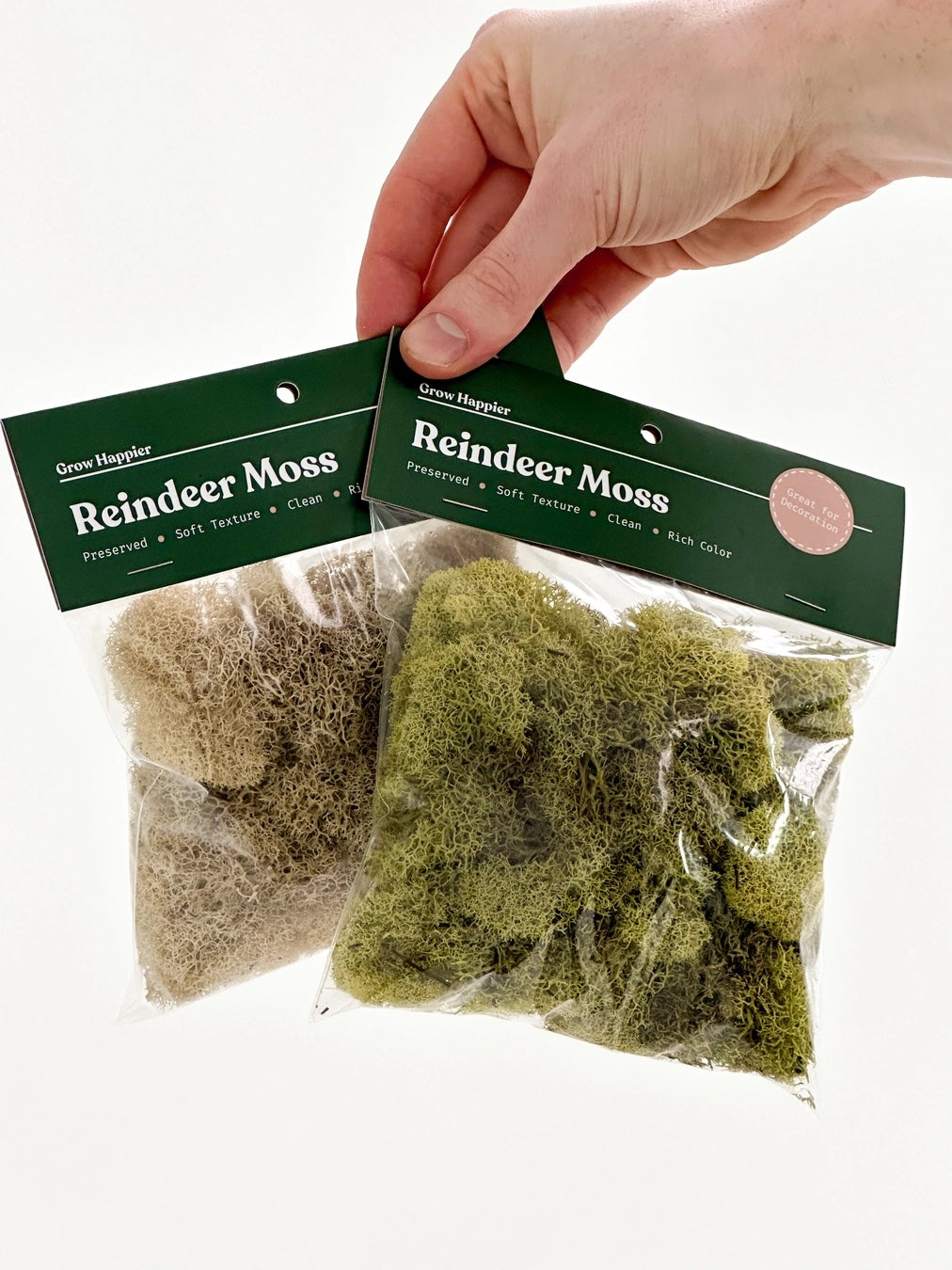 30g Preserved Reindeer Moss, Light Green