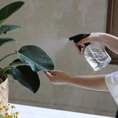 17oz Garden Clear Spray Bottle