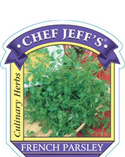 HERB - Parsley - French (Chervil)
