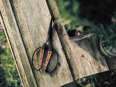 Barebones Large Scissor Walnut