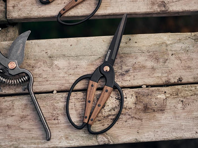 Barebones Large Scissor Walnut