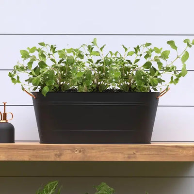 Panacea 16" modern farmhouse oval washtub planter