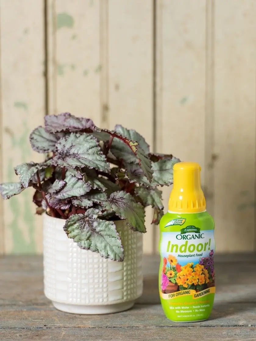 Espoma 8oz Indoor Organic Houseplant Food