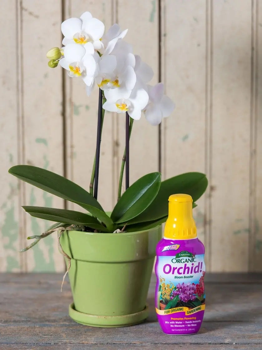 Espoma 8oz Orchid Organic Bloom Booster