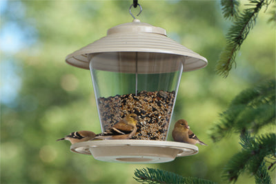 Woodlink Plant Based Hopper Mixed Seed Feeder