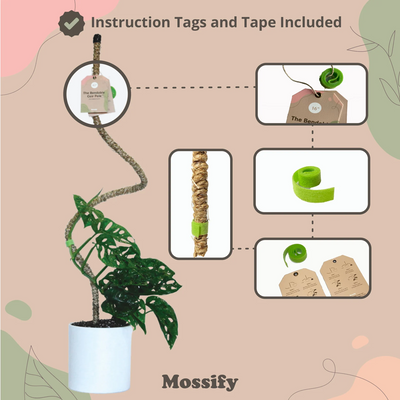 Mossify 30" Bendable Coir Pole