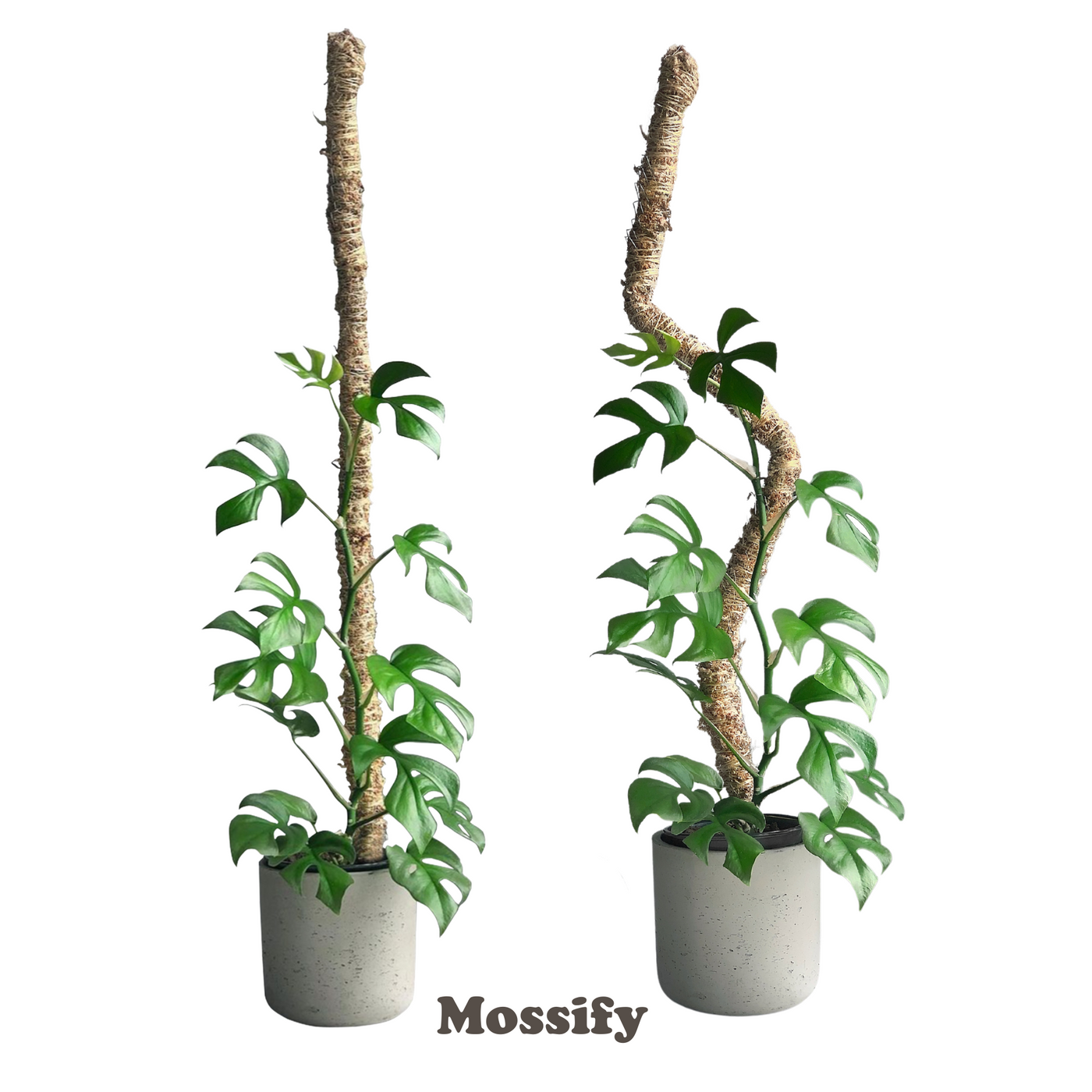 Mossify 42" Bendable Moss Pole