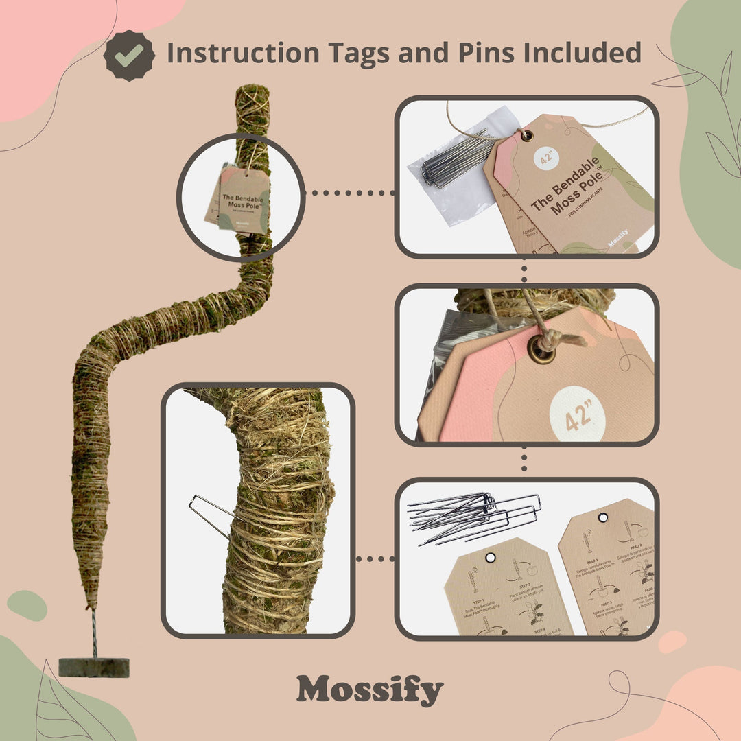 burlap moss pole Mossify 30" Bendable Moss Pole – Bast Brothers Garden Center