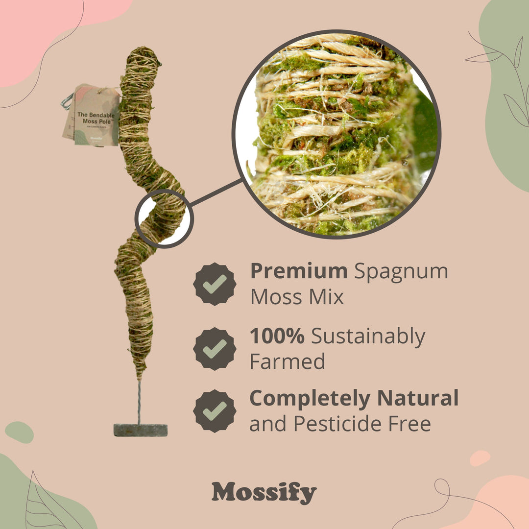 diy bendable moss pole Mossify 16" Bendable Moss Pole – Bast Brothers Garden Center