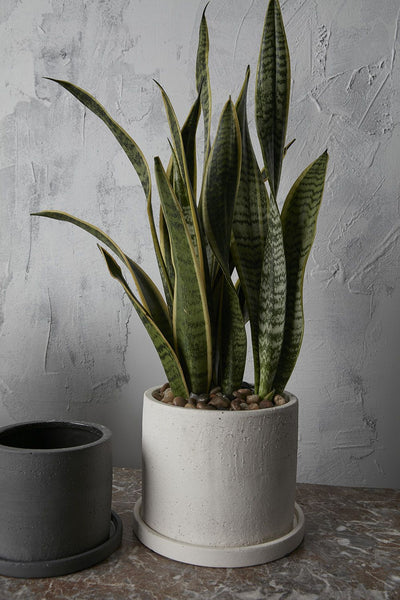 White Easton Pot, Large