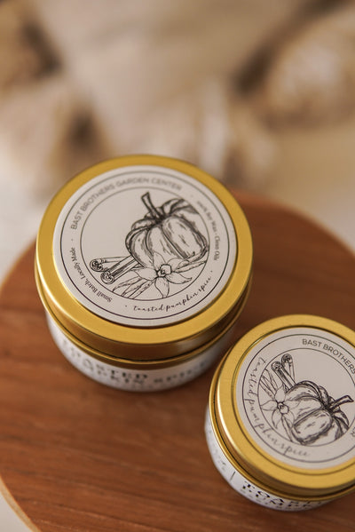 04 Ounce Toasted Pumpkin Spice Tin Candle