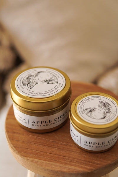 04 Ounce Apple Cider Tin Candle
