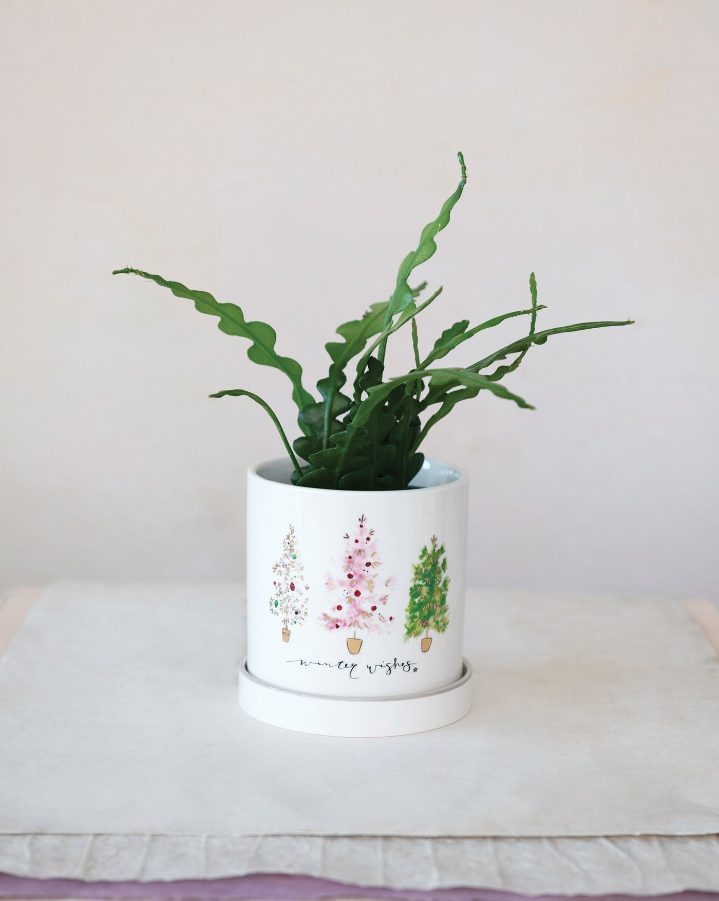 "Winter Wishes" Stoneware Planter with Saucer