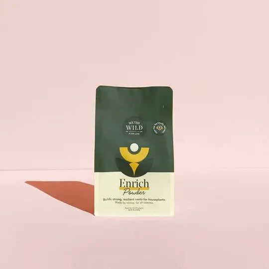 We the Wild Santa Essential Kit