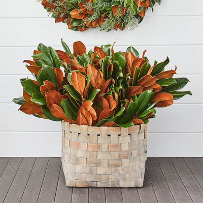 TMC Designer Magnolia Bunch