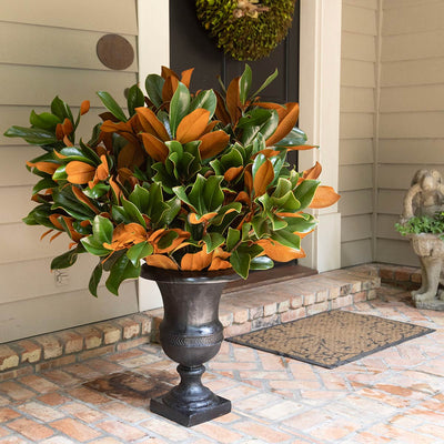 TMC Designer Magnolia Bunch