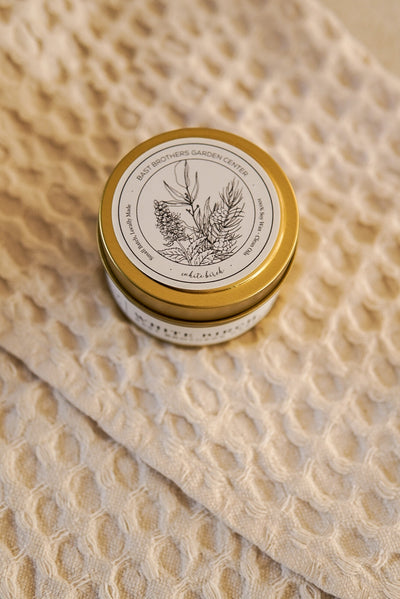 02 Ounce White Birch Tin Candle