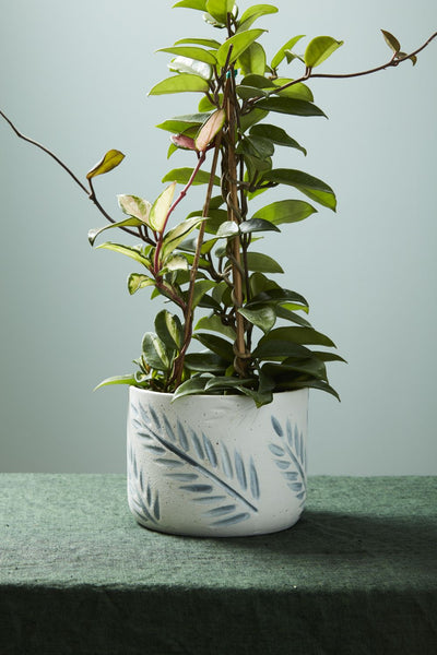 Imprint Pot, 6"