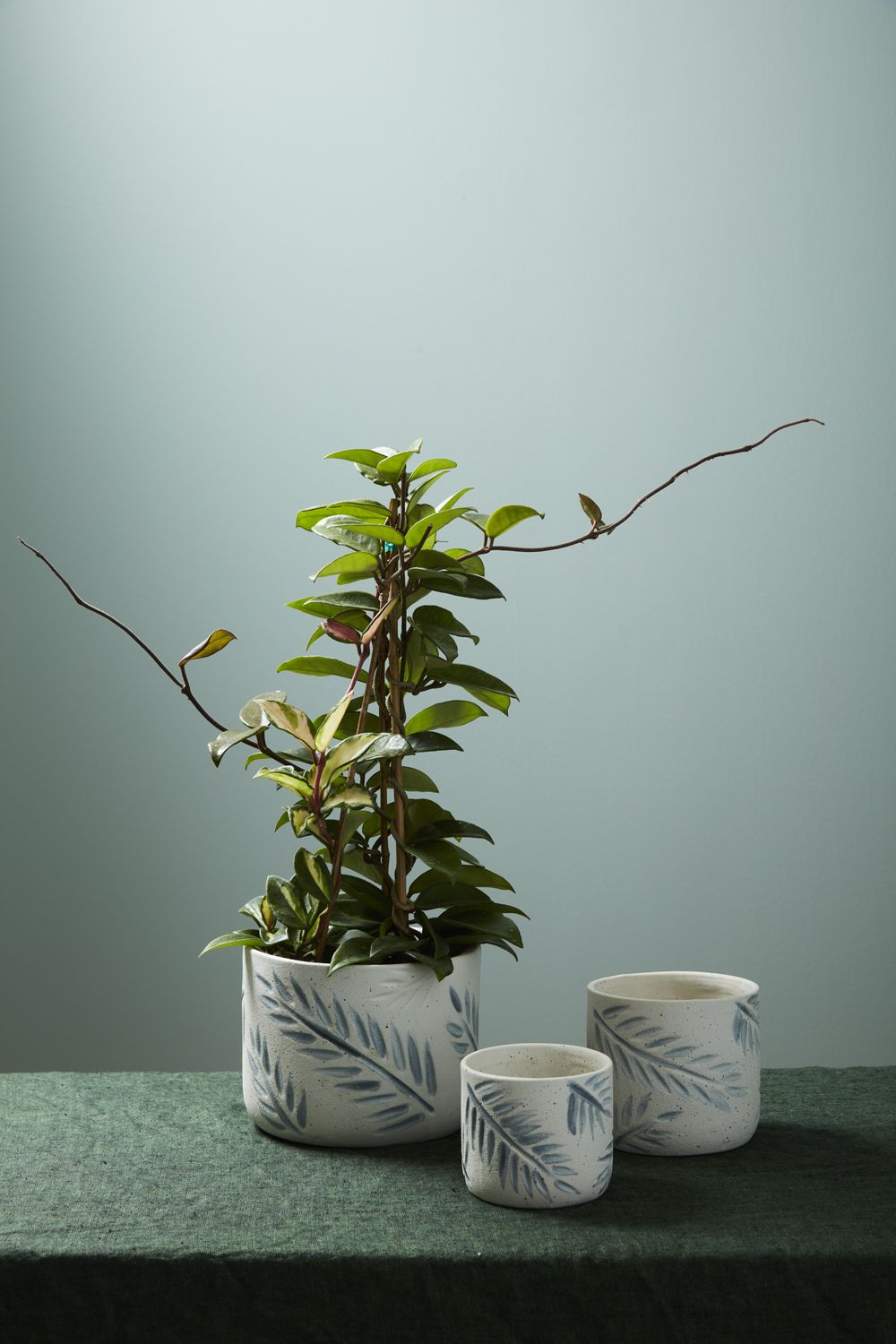 Imprint Pot, 6"